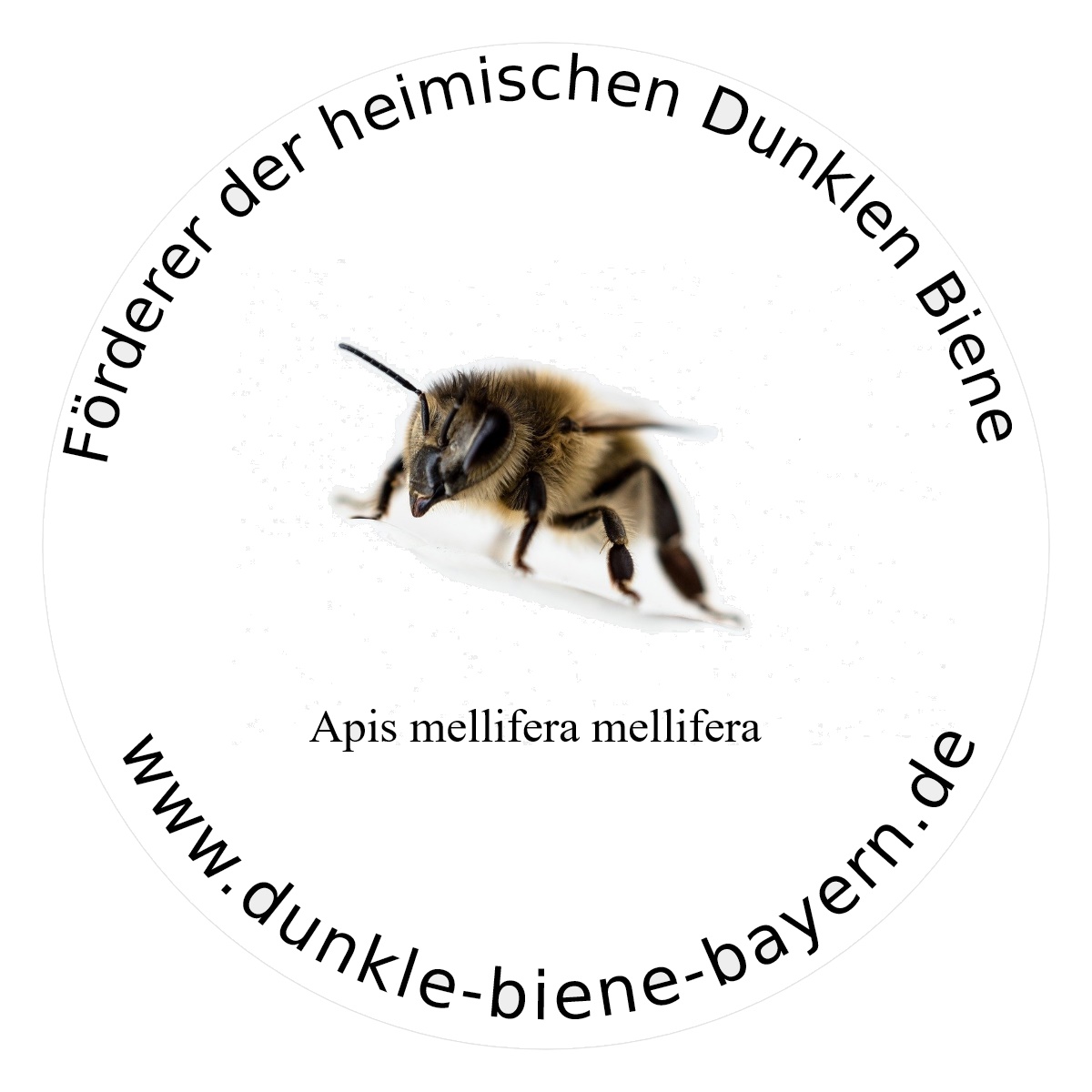 Dunkle Bienen Deutschland